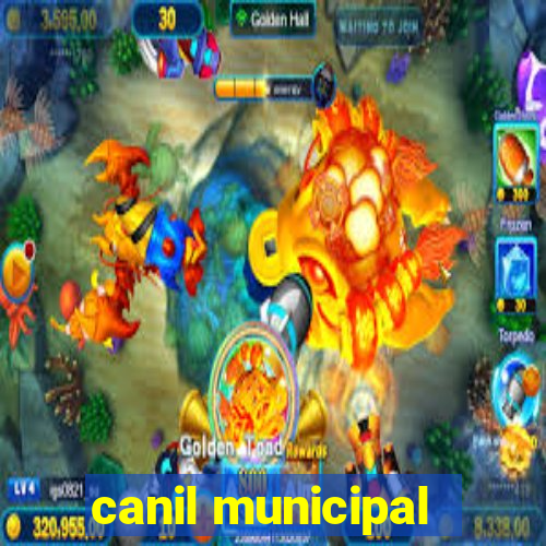 canil municipal